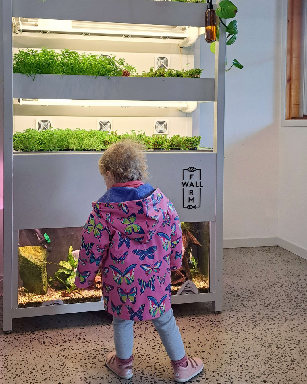 Child engaging with a Farmwall system in a community space