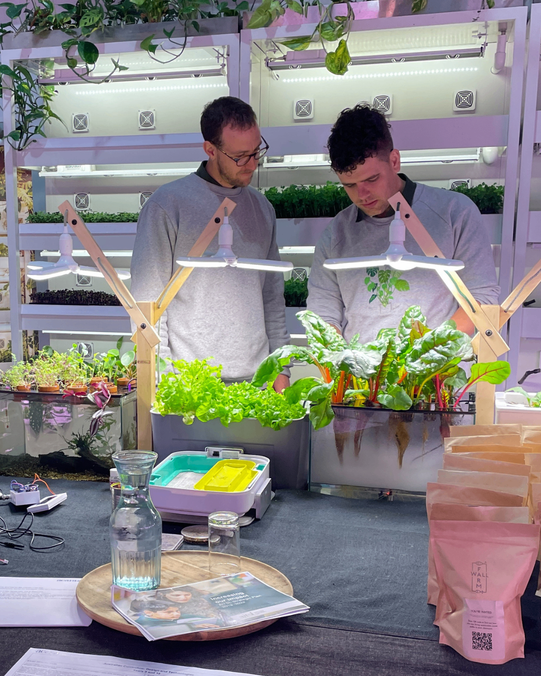 People tending a community Farmwall growing installation together